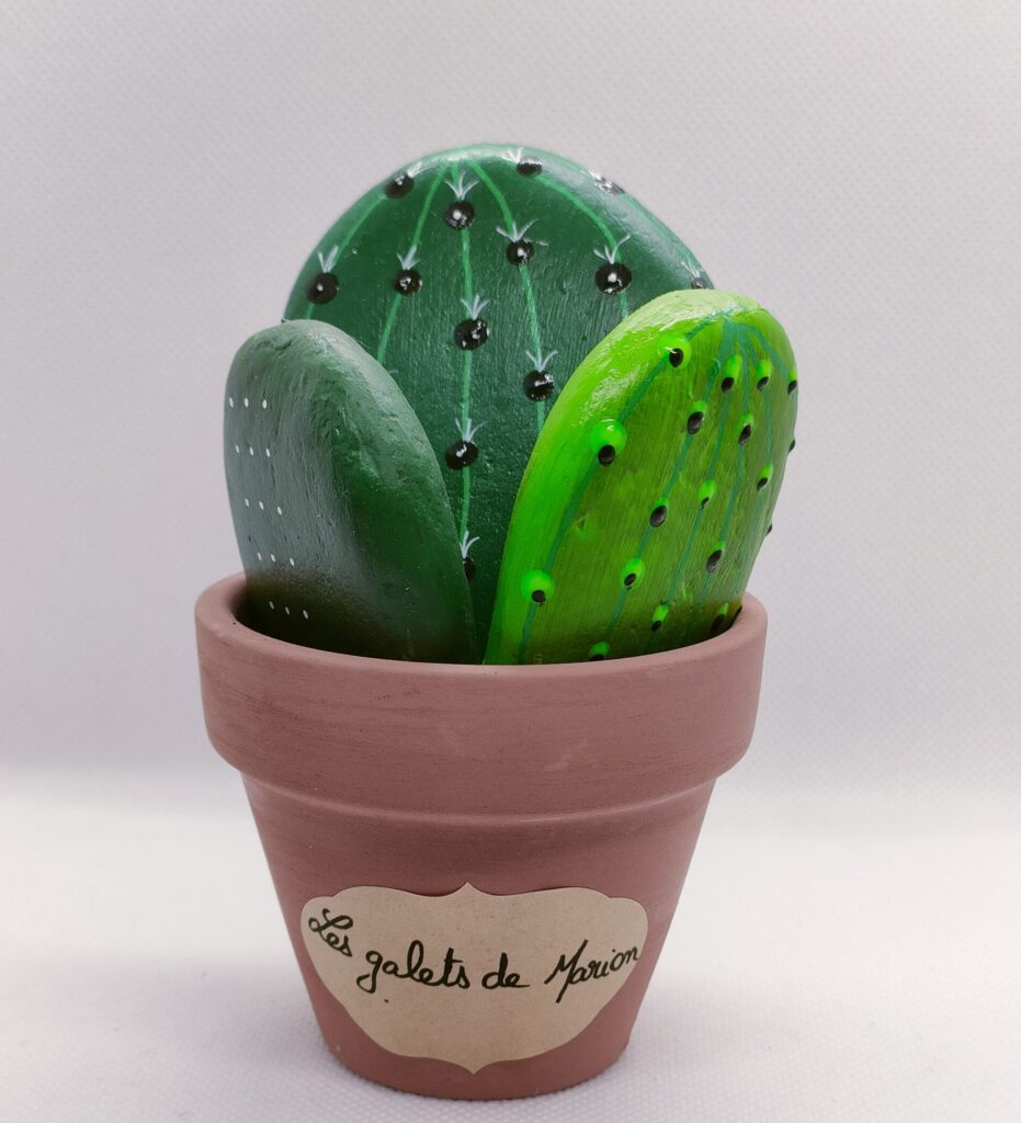 galets peints cactus 3 coloris avec différents motifs dans pot en terre cuite taille moyenne