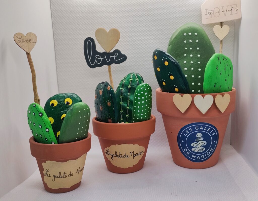 galets peints cactus dans pot en terre cuite avec message alour St Valentin